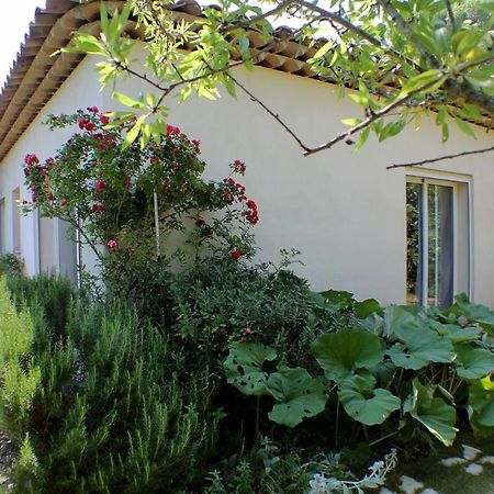 Le 275 Villa La Colle-sur-Loup Exteriör bild